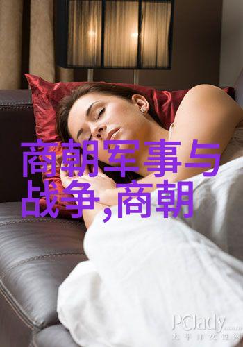 明朝那些事儿全集有声小说揭秘历史真相的故事之旅