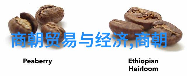 元末之变帝国覆灭的惨烈场面