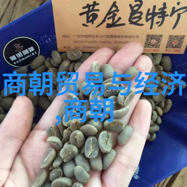 明朝对于外交政策有什么特别之处或失误吗