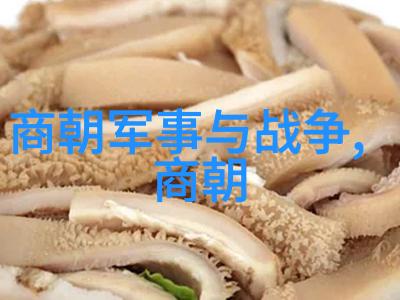 大明王朝映射问题探索历史真相与文化遗迹