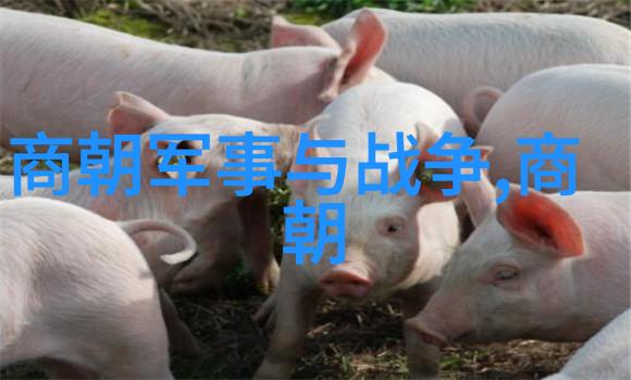 漂亮娇妻的故事