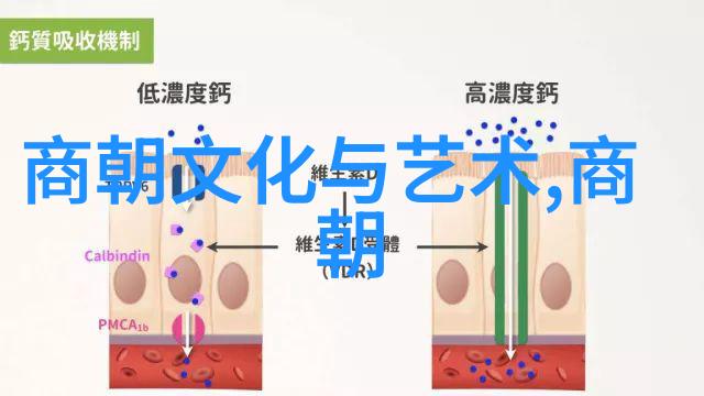 明朝16位帝王的继承人 - 明代皇室血脉荣耀与沉沦的交织