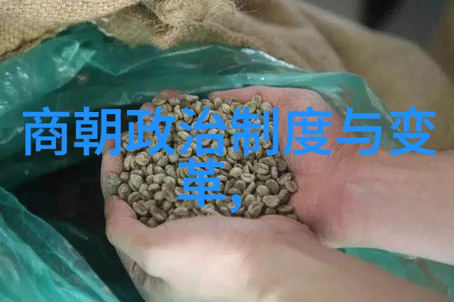 在康熙至乾隆的清朝中为什么没有出现政变或篡位事件