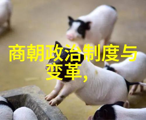 明朝那些事儿听书免费王更新我是王更新你想不想听我讲讲明朝那些惊心动魄的故事