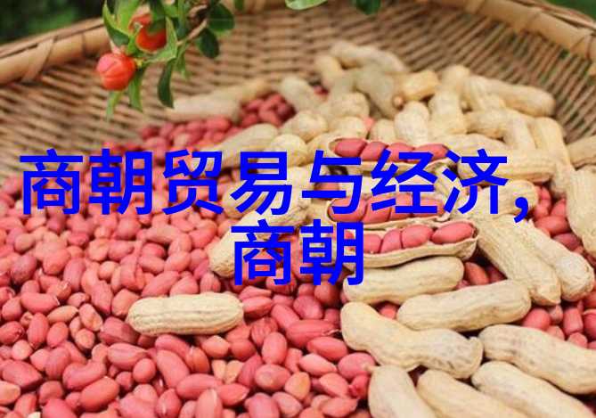 常平仓中寻找太极之道健康在此一展身手