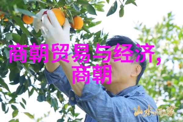 安史之乱后唐朝与五代十国时期之间存在什么样的联系呢