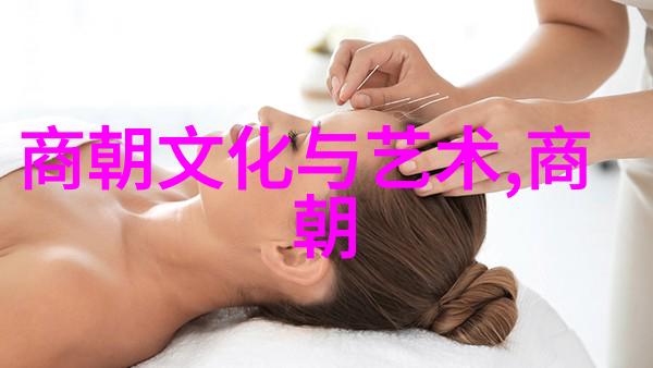 明朝历史的阴影揭秘宫廷斗争与诡计的复杂网络