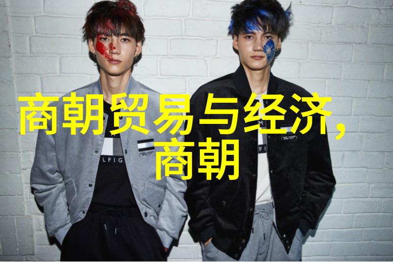 北宋兴起与南渡变革