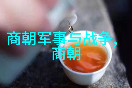 郑观应中部战区