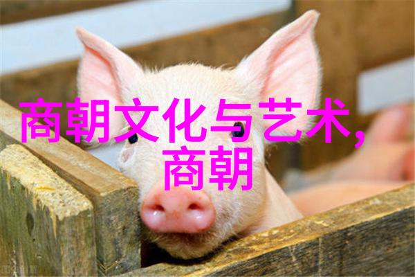 排名前50的巨擘你知道他们的秘密是什么吗