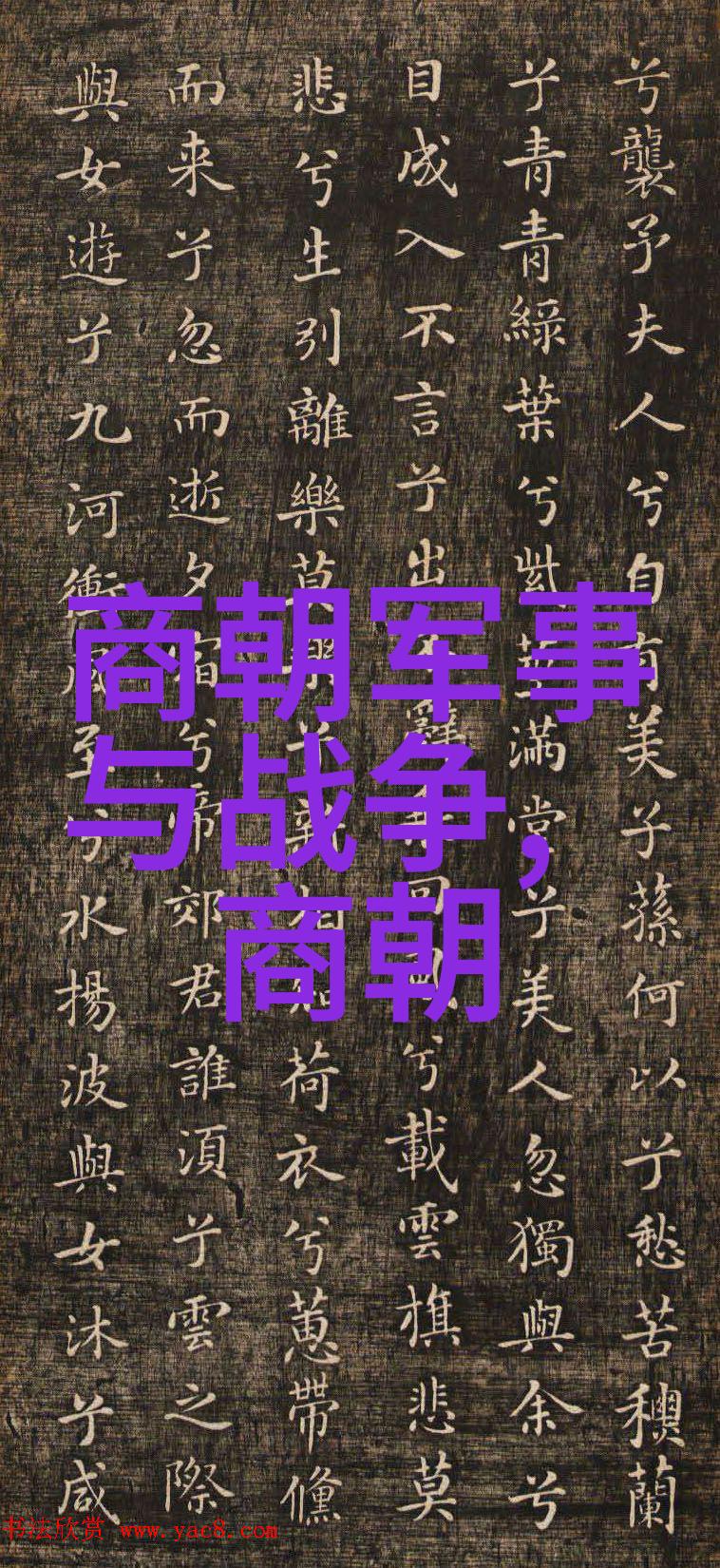 明朝到底有多少位揭秘明代官员人数的真相