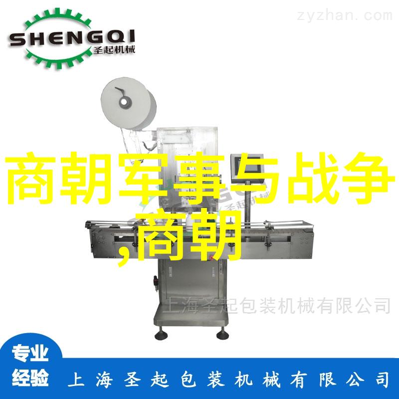 博果尔的娘与大玉儿之间的情感纽带探索二人间深厚情谊的故事