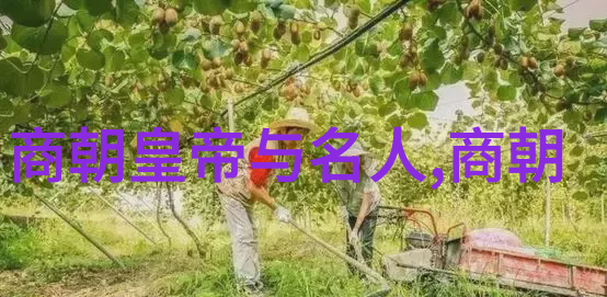 今日关注邹靛澄人物专题