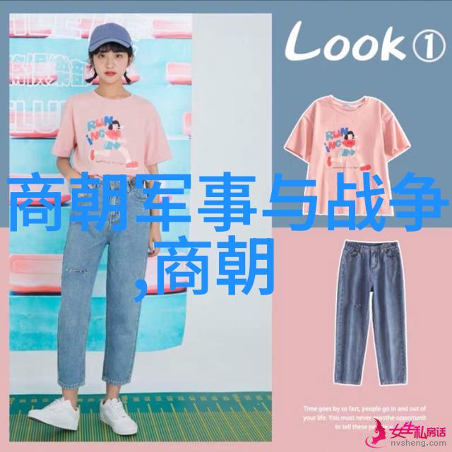 明朝风云继承者之争