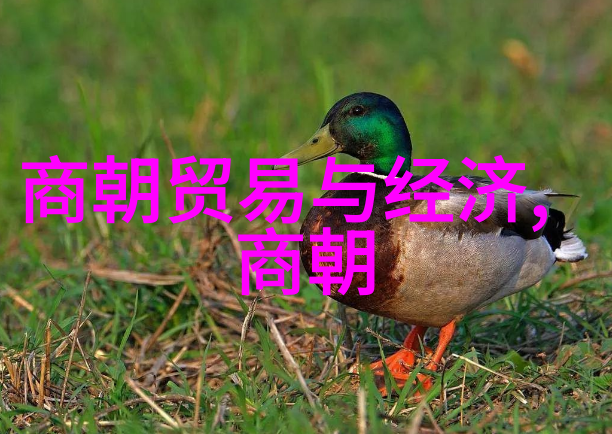 元军北伐失败后为什么南宋还能维持近一个世纪的统治权力