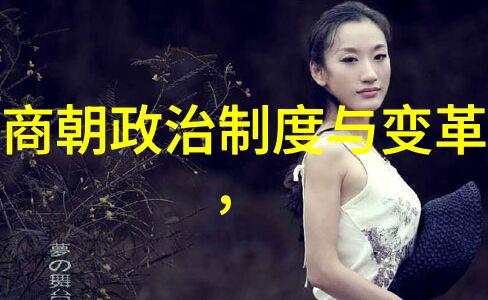 历史长河中华文明的辉煌传承