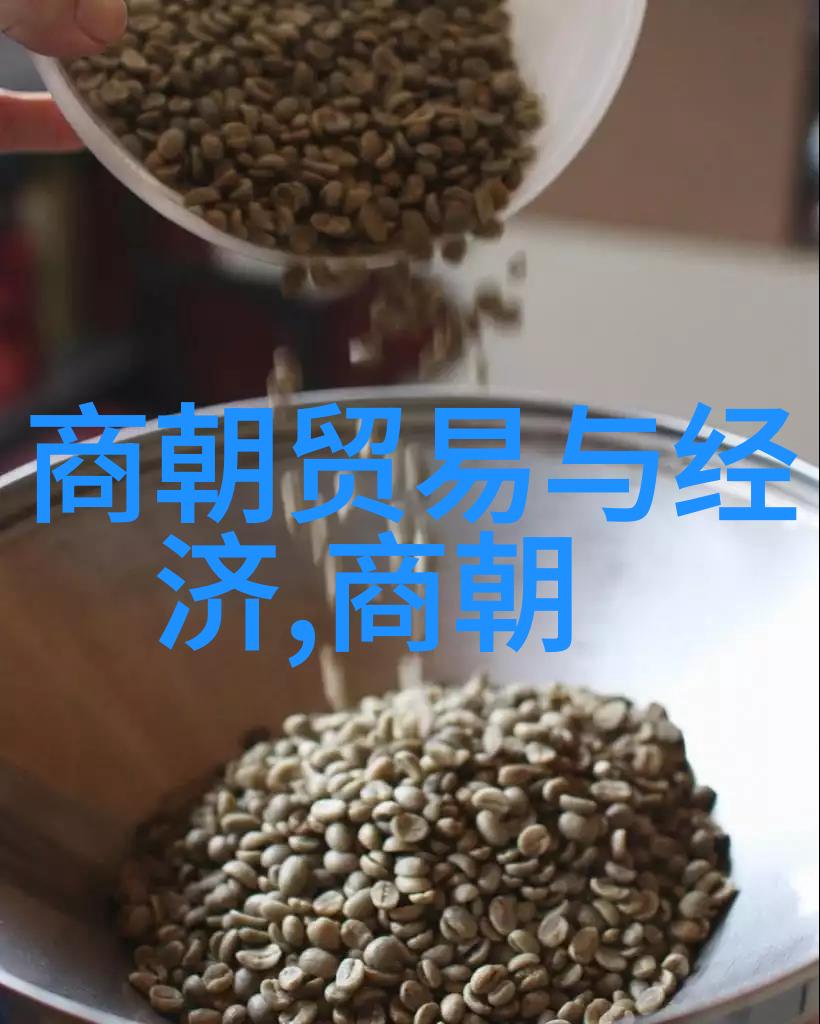 春夜困渡苏晚的孤行与月光下的自我发现
