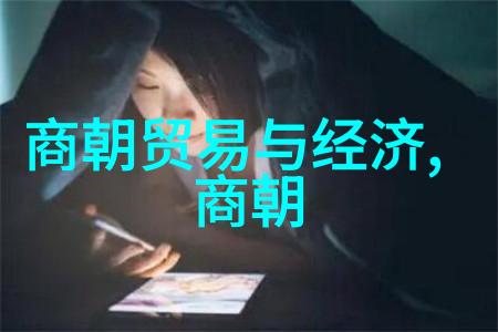 清朝末期皇位继承问题探究光绪帝之父子争夺与对比分析