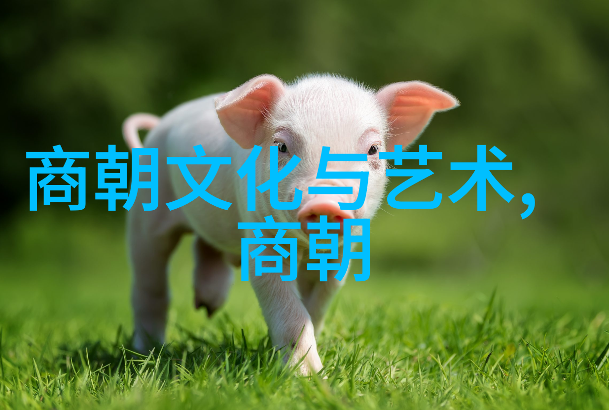 明末八旗军的铁血征途战场上的恐怖力量