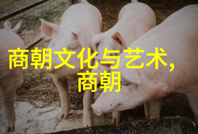清代康乾盛世背后的政策机制及其成效考察