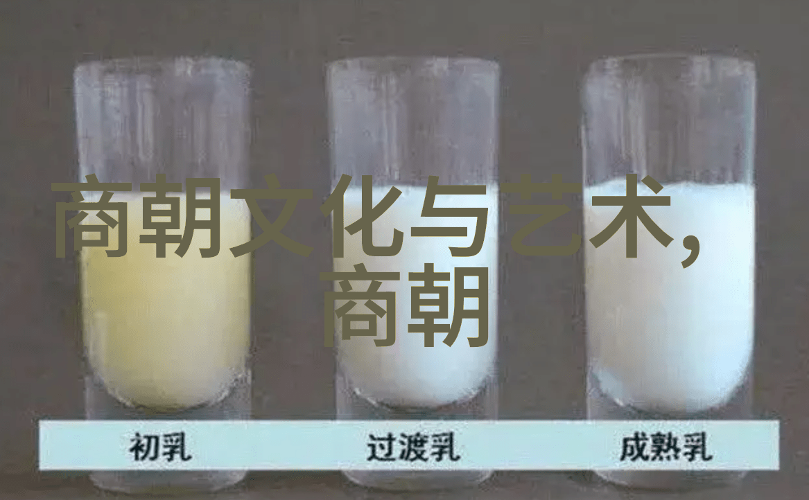 历代盛衰一览中国朝代排列表的兴衰演变