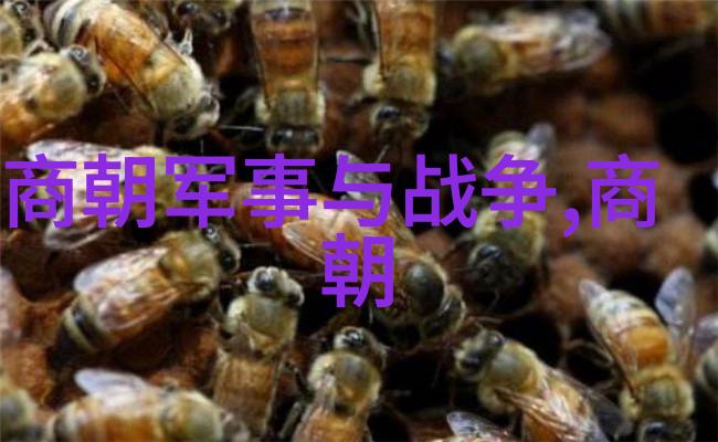 清朝与明朝的比较从盛世到衰落的历史反思