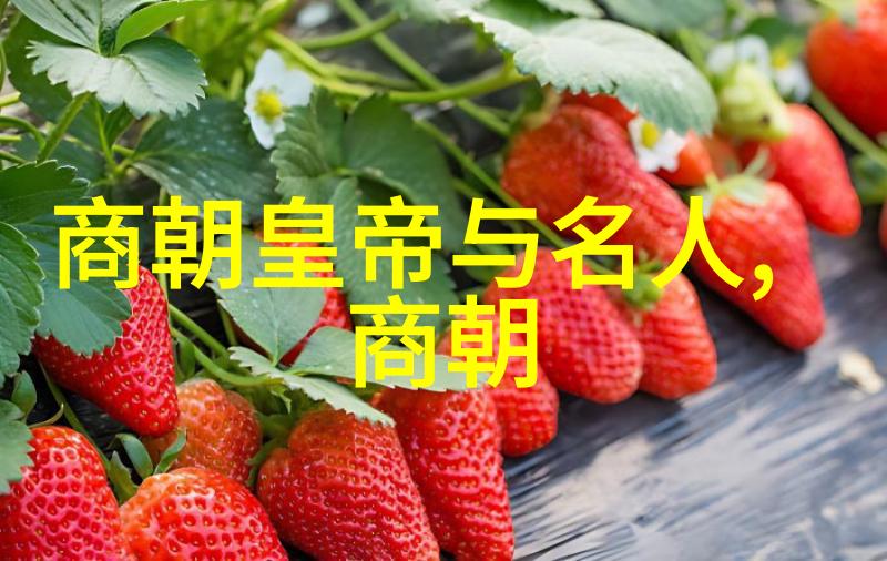 明朝那些事有声小说历史故事情节人物刻画宫廷斗争