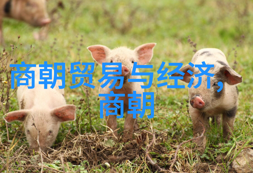 元朝政治制度中央集权与地方自治并存