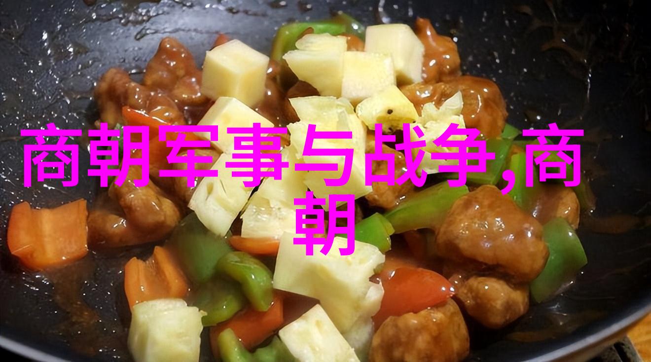 了解中国历史唐朝盛世与辽金元的交汇点