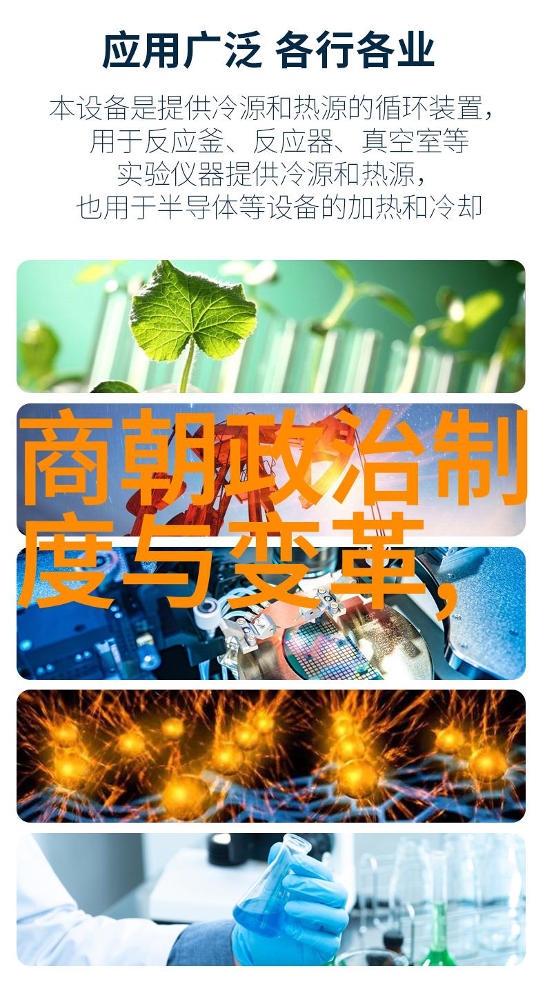 南宋时期的文化繁荣与政治稳定