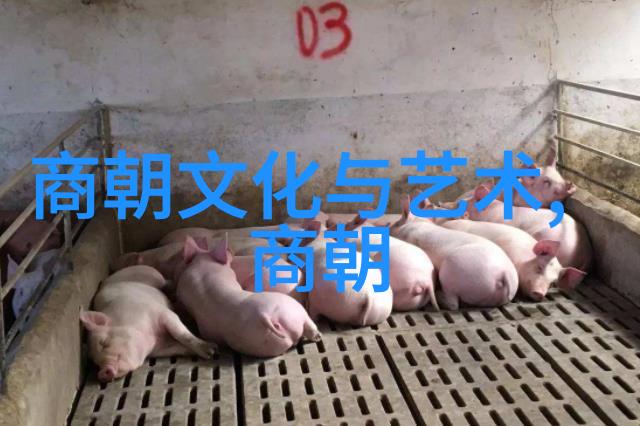仁宗时期的内政改革与对外战争策略