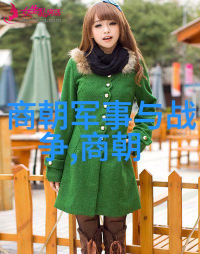 明朝影踪历史的迷雾与真相的探寻