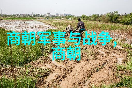 政治斗争与个人命运研究明朝晚期及早期多位高级官员遭受非法处置的情况和原因