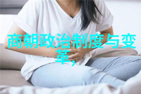 元朝简史从忽必烈到明成祖的统治时代