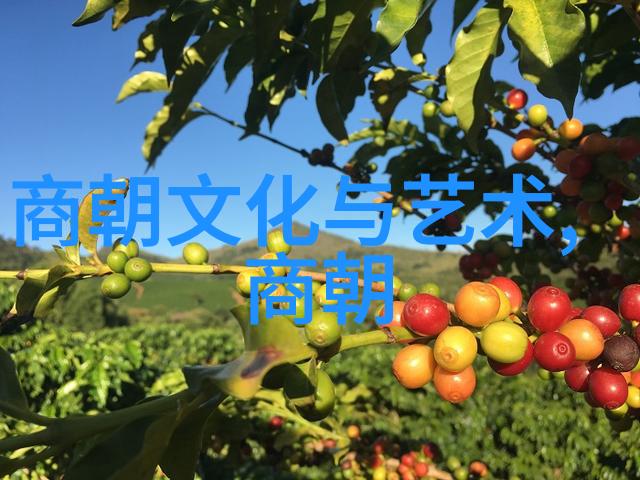 辽金为什么不列入正史咱们来聊聊这段历史的奇葩