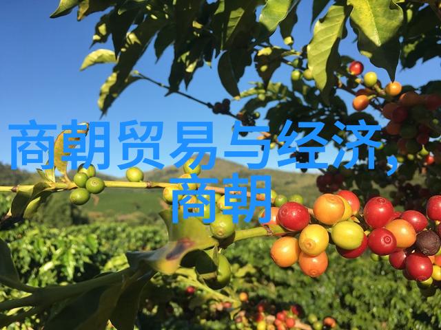 历朝顺序-从汉到清中国历史的长河与帝王们的足迹