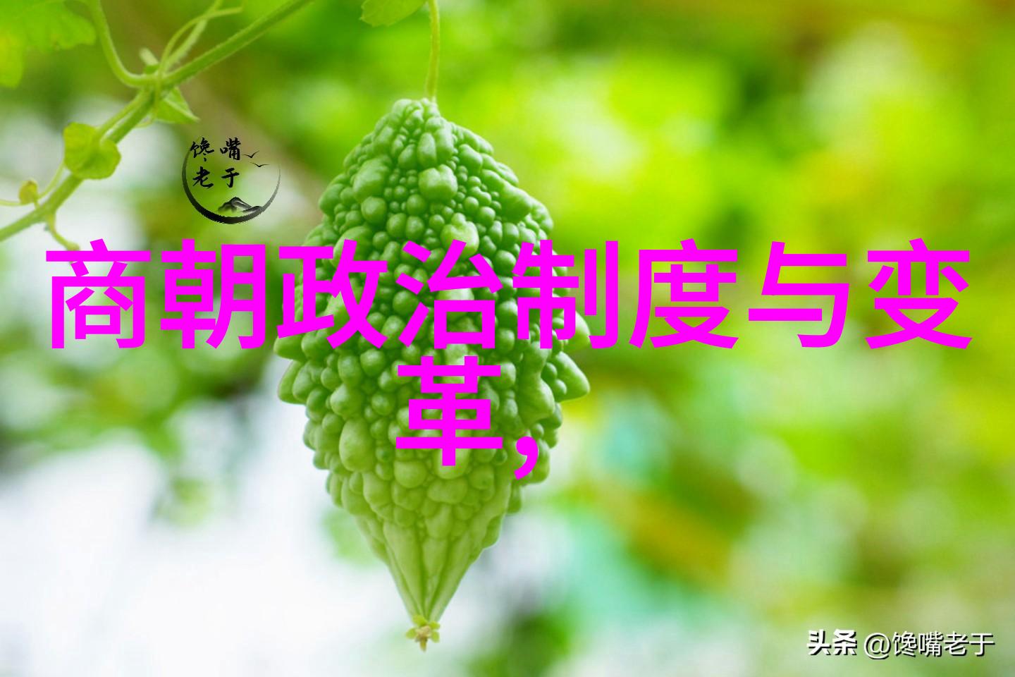 随着唐朝的建立李渊是如何处理与隋炀帝遗留下来的关系问题
