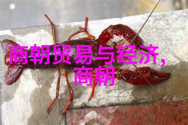 传统知识是否阻碍了明朝与欧洲建立更深层次联系