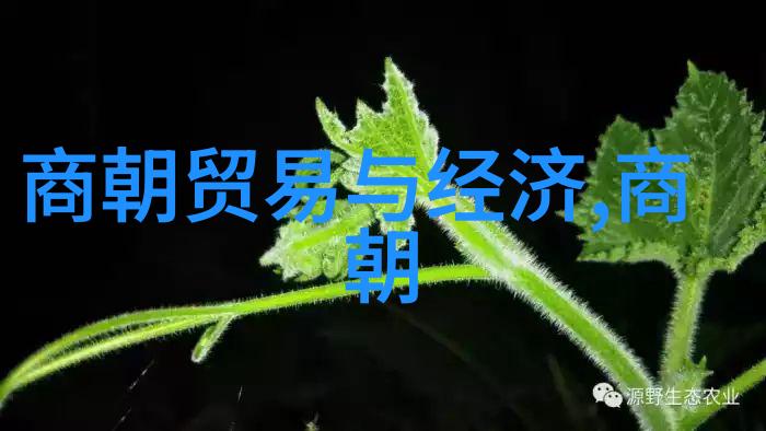 紫禁城下的阴谋朱祁镇与张太后的诅咒