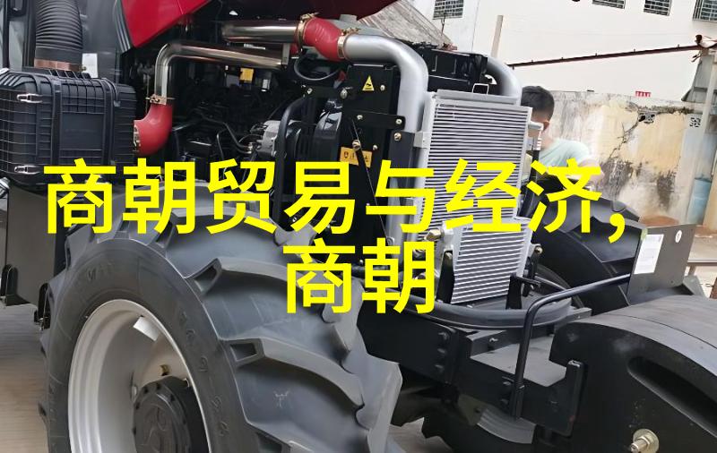 传统文化中对明朝皇室继承人的看法与实践