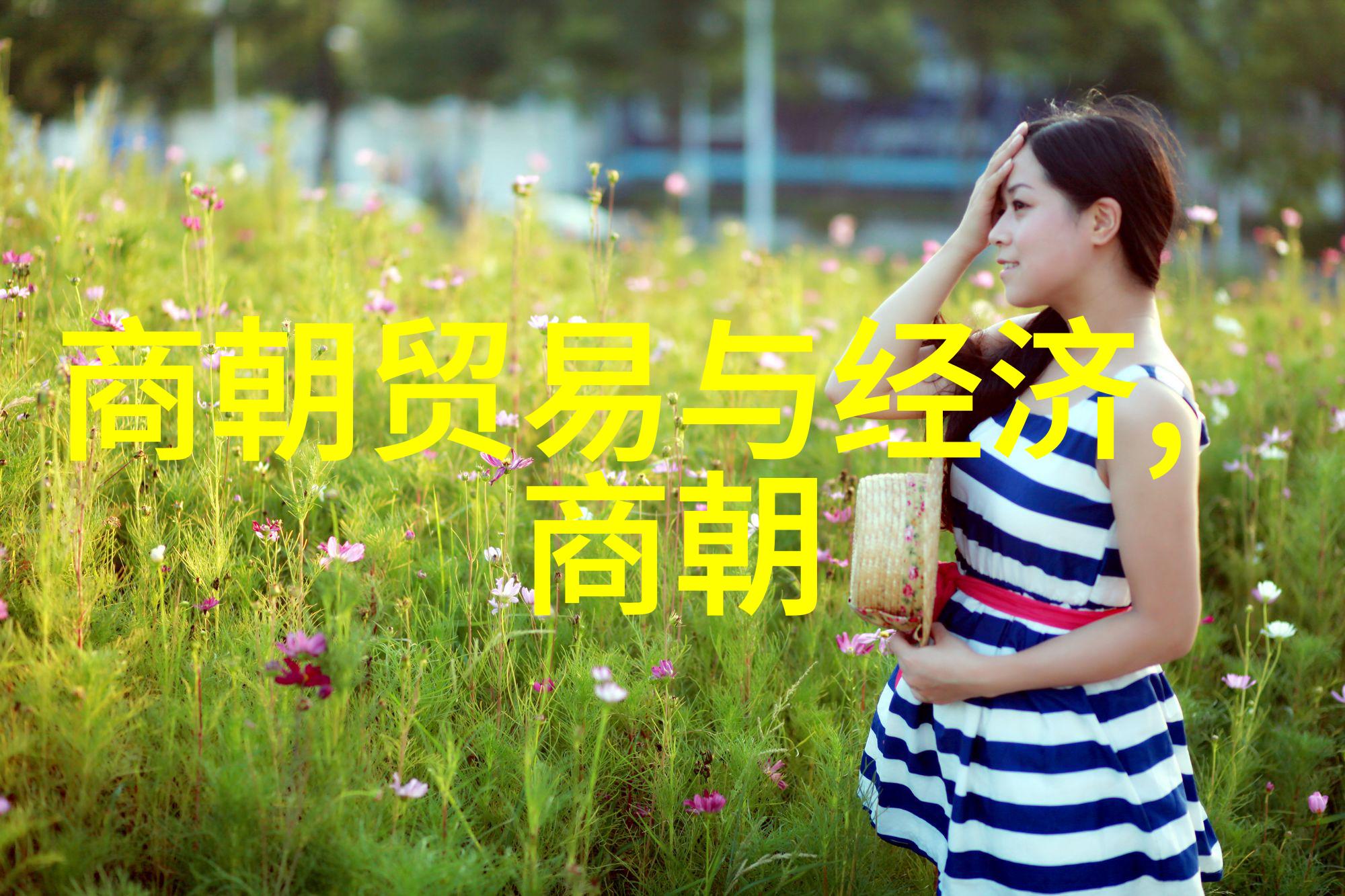穿越时空的琴音一位名人的神秘遗失