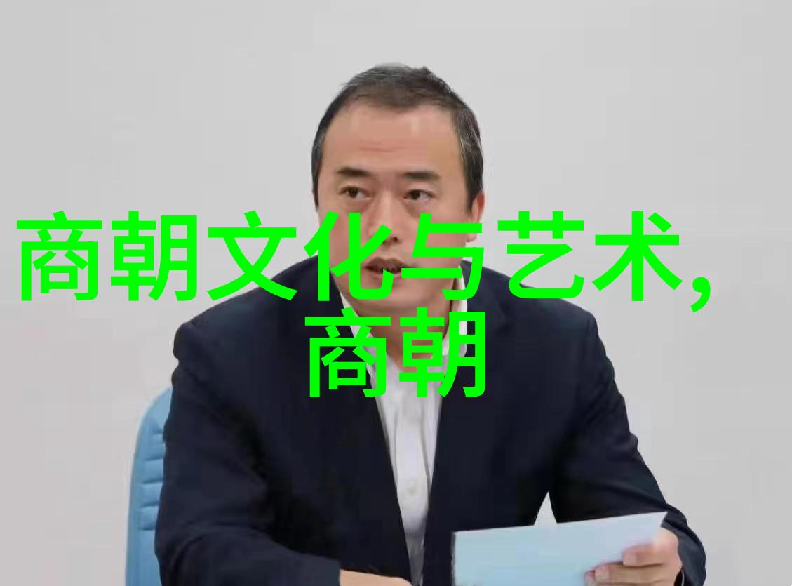 明朝电视剧-璀璨明朝穿越时空的传奇