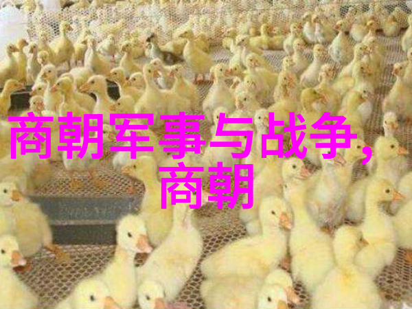 当下的政治体制如何避免了过去这几个朝代的问题呢