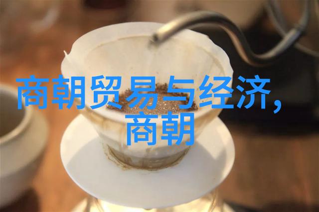 东方时空的回音中国与元朝的认知交响