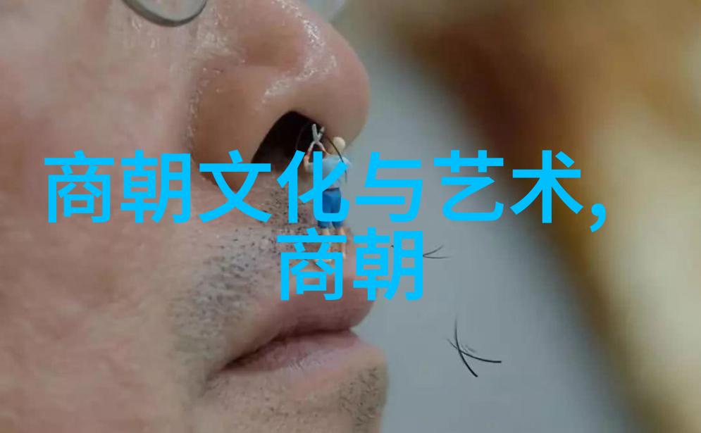 明朝历史看什么书最好探索往昔辉煌的秘密