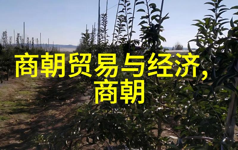 公交车站避雨第二集城市生活的细节探究