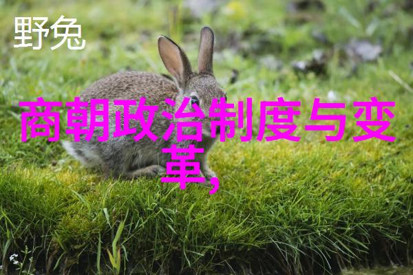 当前社会中是否还有类似红色故事的情景发生