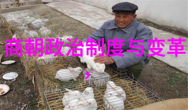 元朝年号体系研究时间的编织与历史的印记