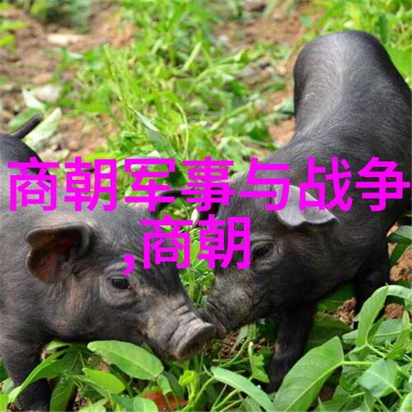 天启逆袭魏忠贤掌权时期及其下台过程
