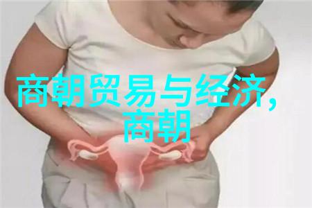 明代风华龙凤盛世下的朝政变迁